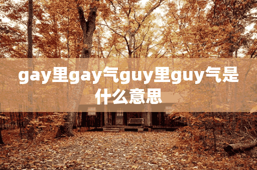 gay里gay气guy里guy气是什么意思